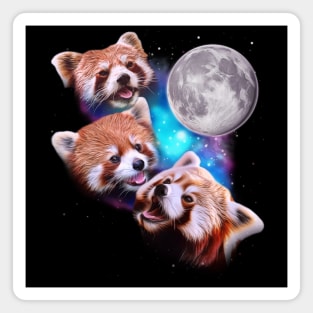 Three Red Pandas Howl at the Moon Magnet